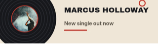 Vinyl sample banner