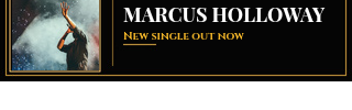 Luxe sample banner