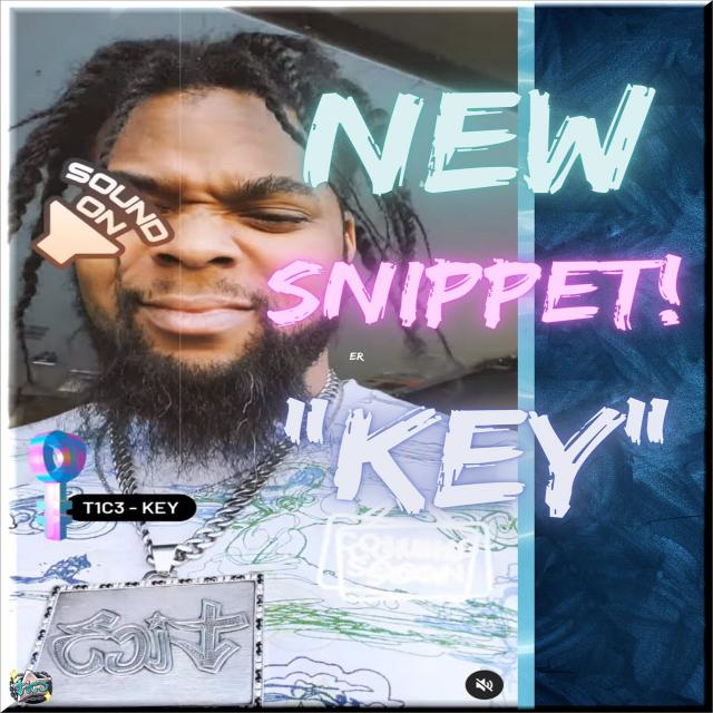 T1C3 releases a Snippet of 