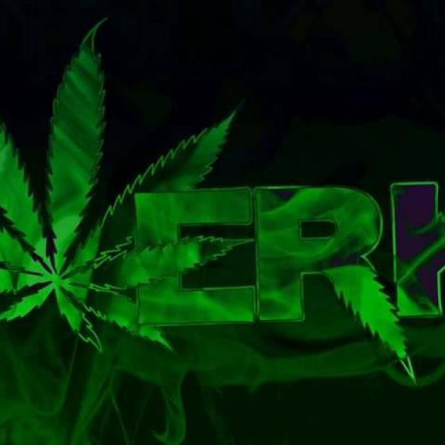 WERK420ENT's picture WERK420ENT's picture