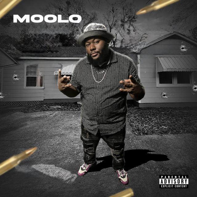 Moolo's picture Moolo's picture
