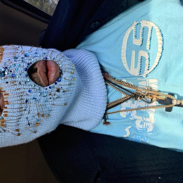 Mighty penhead's picture