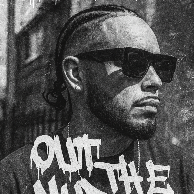 Stallione's picture Stallione's picture