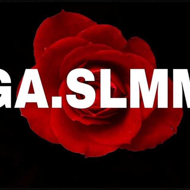 GA.SLMM's picture