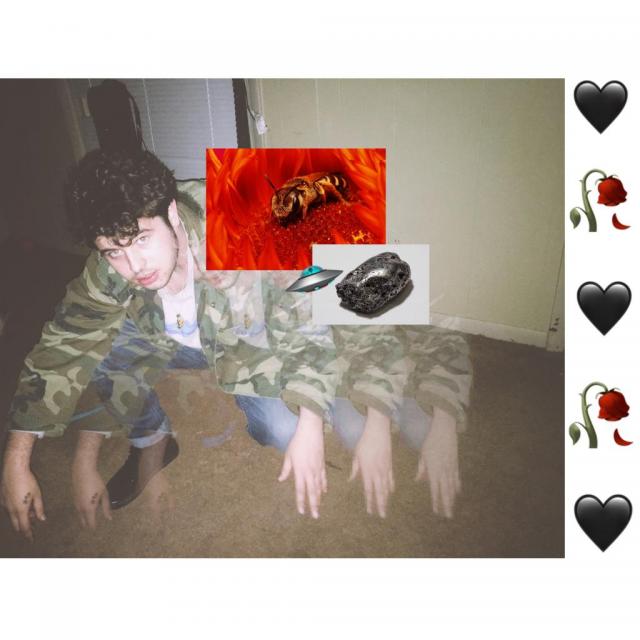 Brandon Zewe's picture Brandon Zewe's picture