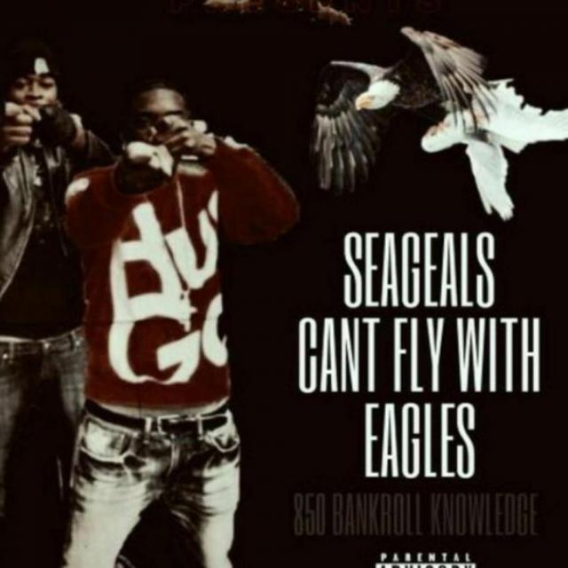 Bankroll knowlege's picture