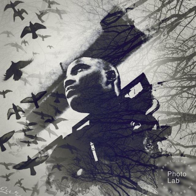JustLee214's picture JustLee214's picture