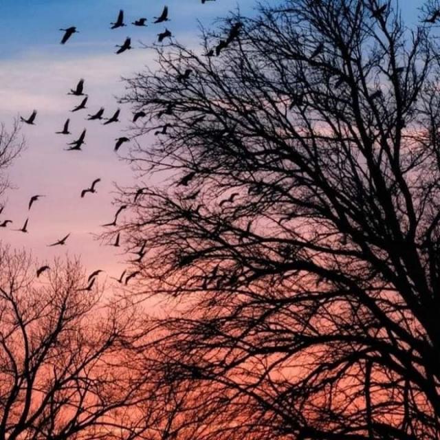 Joshua Brown's picture Joshua Brown's picture