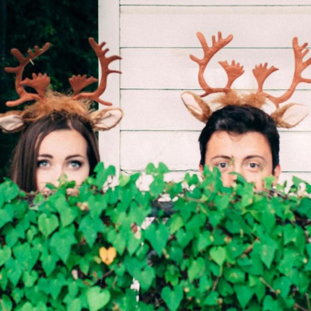 Deer Fellow's picture