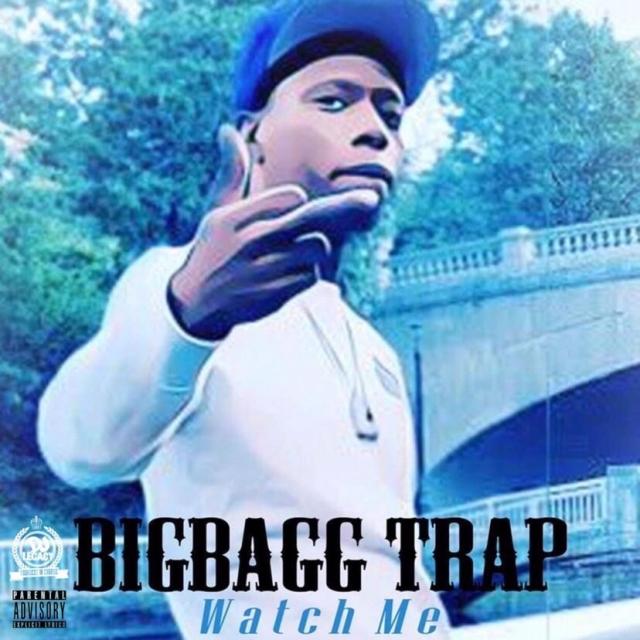 BigBagg trap's picture BigBagg trap's picture