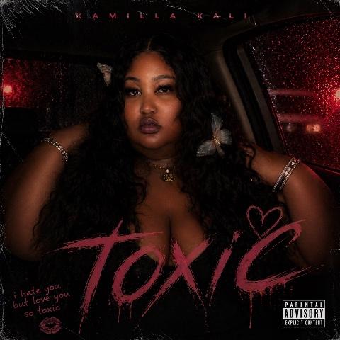 T O X I C: The Song Everyone Who Stayed Too Long Needs to Hear