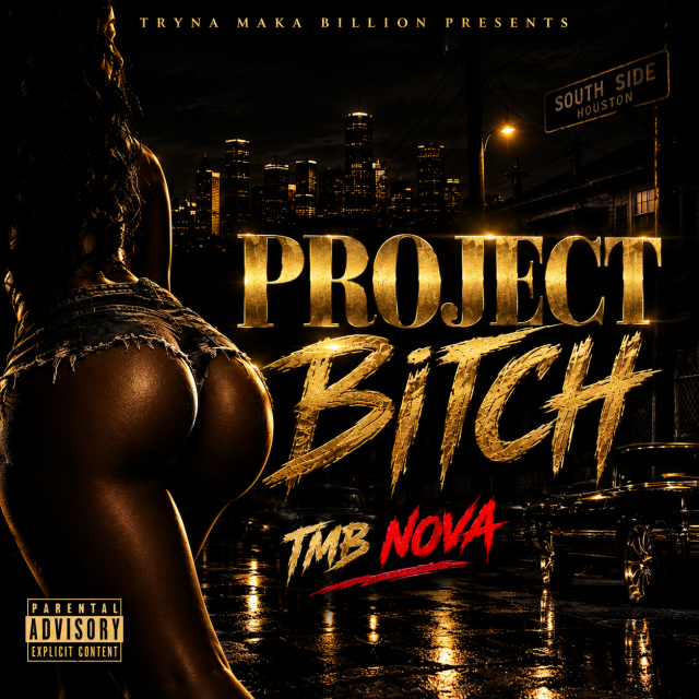 Project Bitch artwork