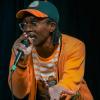 Cheese Curls booked to Perform at Paint Louis Festival in STL